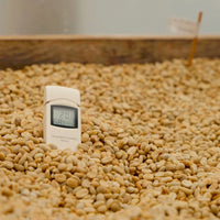 Typica Mejorado Washed