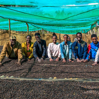 Bekele Belacho White Honey
